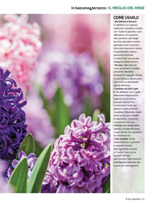 Il Mio Giar Apr-Mag 2023 (4)