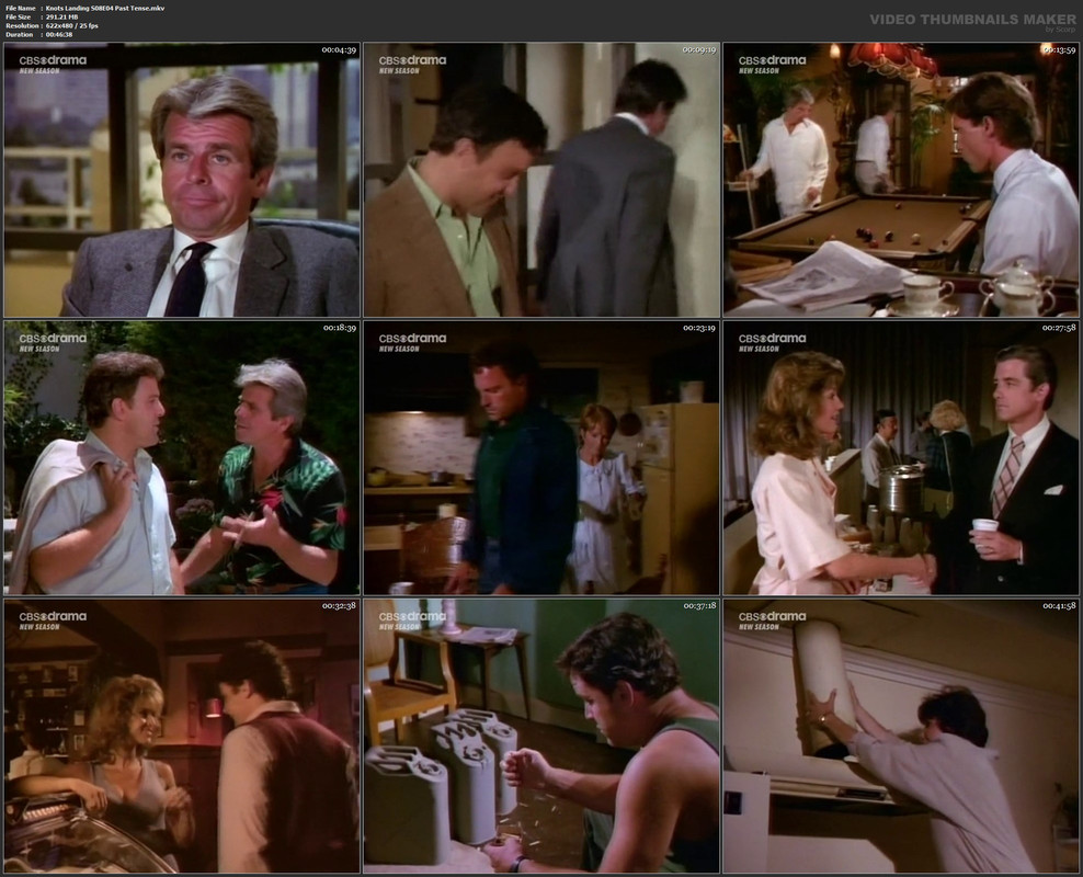 Knots Landing S08E04 Past Tense.mkv