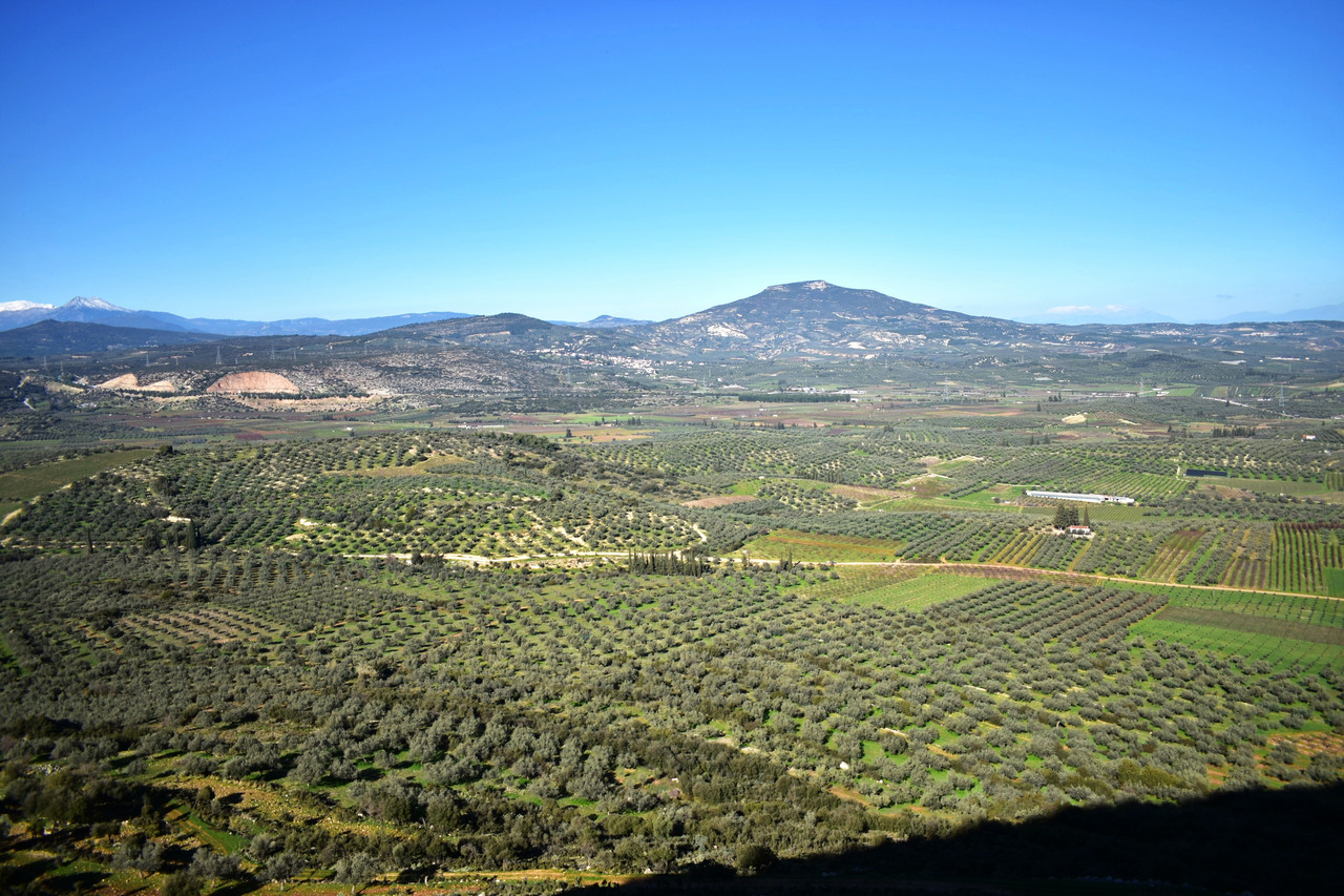 Άγιος Βασίλειος (6)