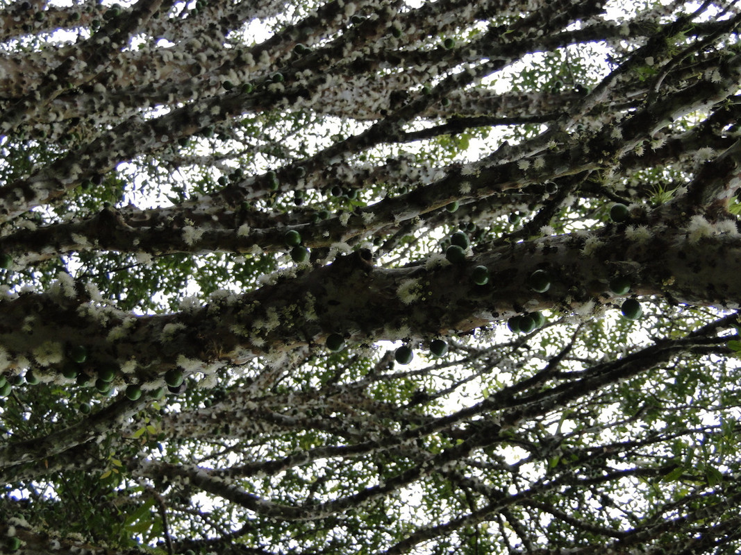 DSC00358