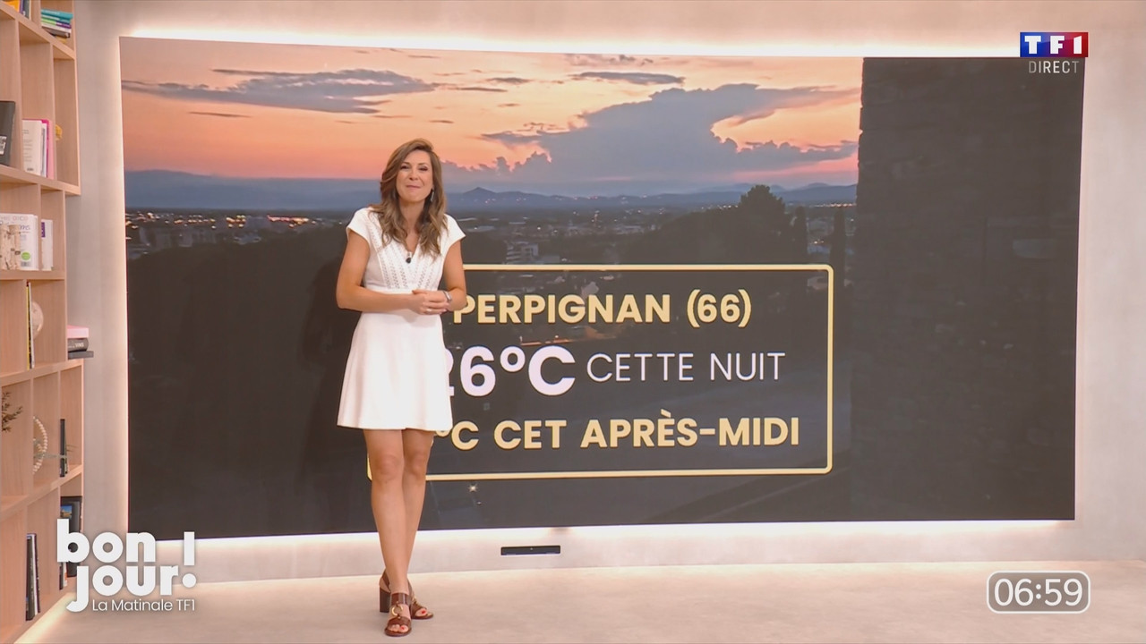 TF1 Bonjour Daniela 070824.mp4_snapshot_00.09.06.612