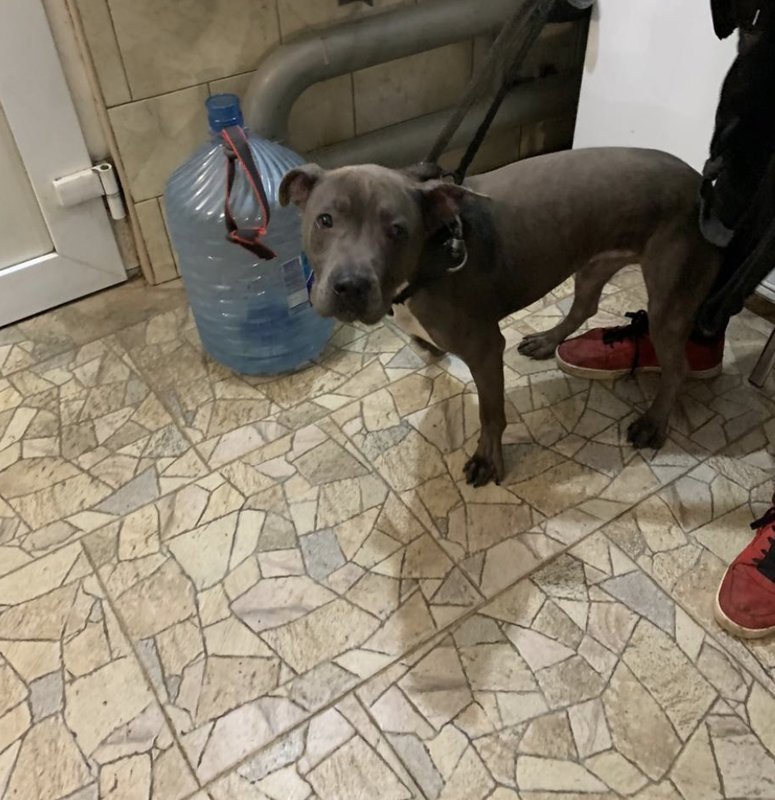 Снимок экрана 2025-03-06 в 12.27.15