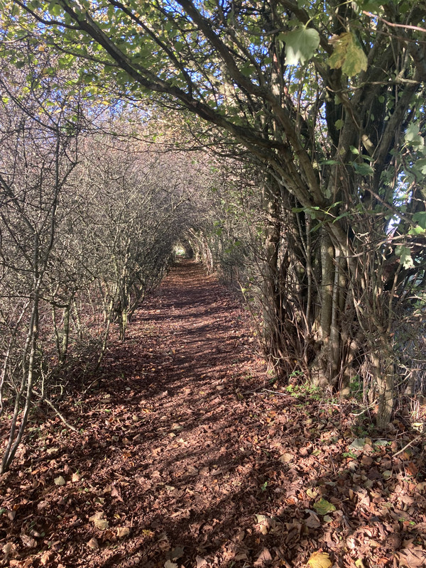 FF7A17C2-4379-4451-8C8E-F957BEC9E386