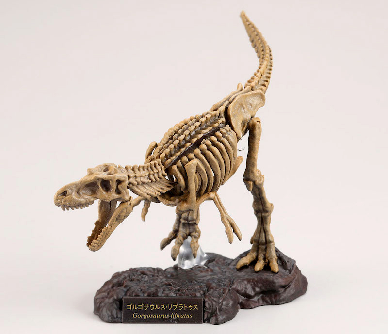 2023 Prehistoric Figure of the Year, time for your choices! - Maximum of 5 Kaiyodo-Gorgosaurus-skeleton