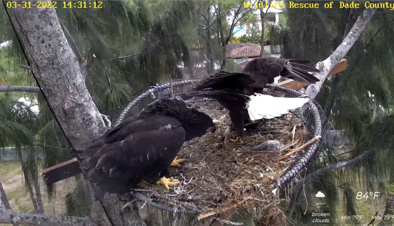 E296F7B7-A2D4-4D3D-A263-F338D2ABB042