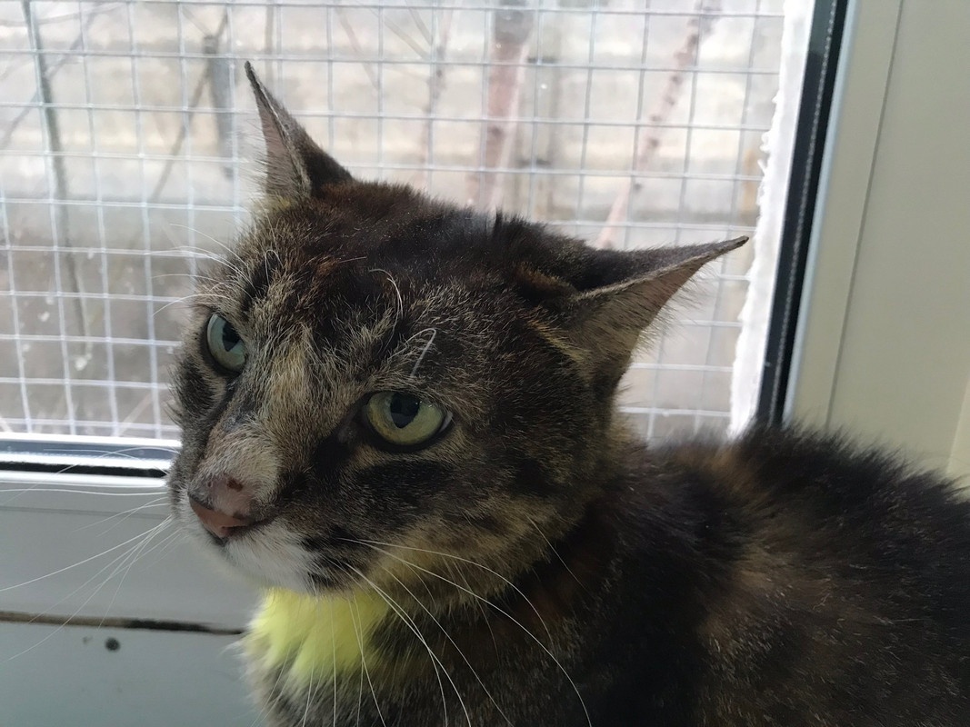 3DBE76BB-ECC3-4E07-B977-7C16CBB6A8C8