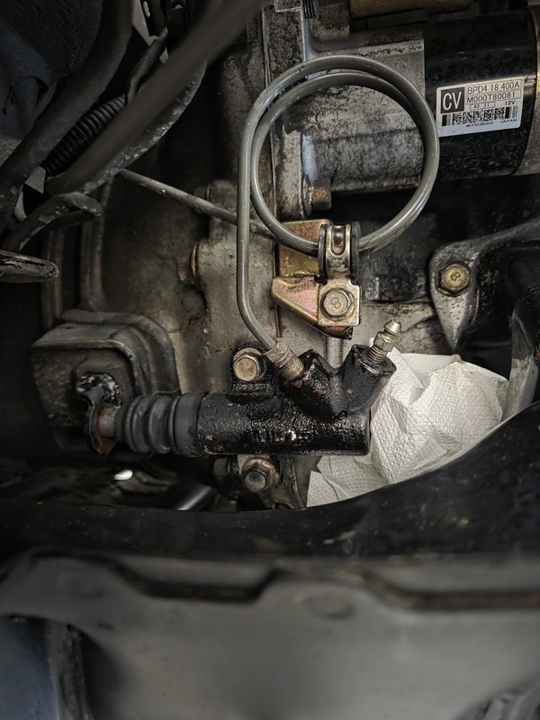 [Immagine: EZKa3Lt-VTxq-Uu4o-MFi6Mn-Q.jpg]