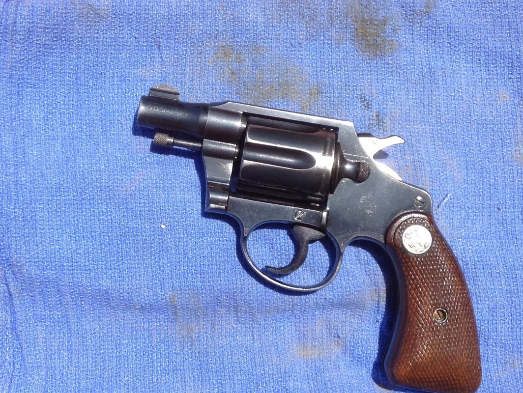 1941 Colt DS (Large) (2)