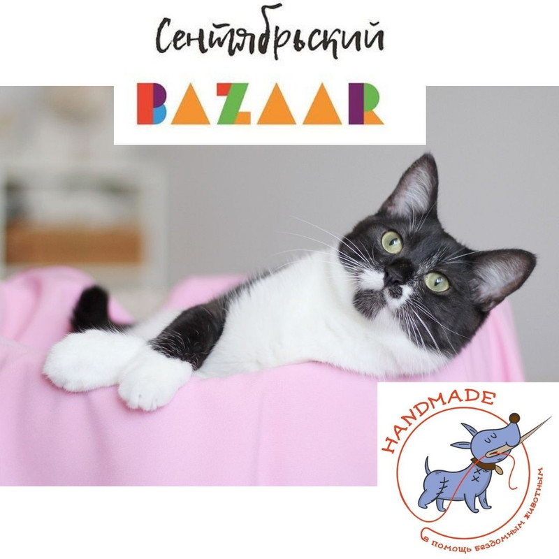 Дизайн без названия (3)