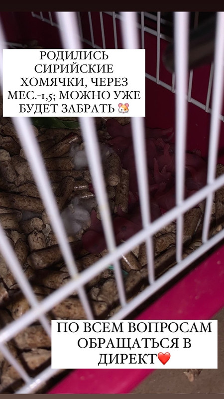 BC1E7EAF-3B13-4962-B18B-1C282D78EB7D