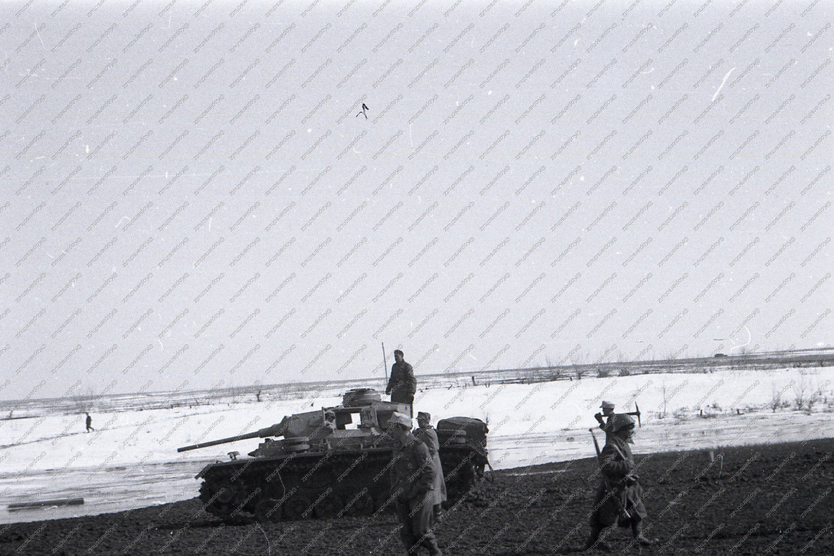 Gebirgsjäger, deutsche Panzer zur Unterstützung,