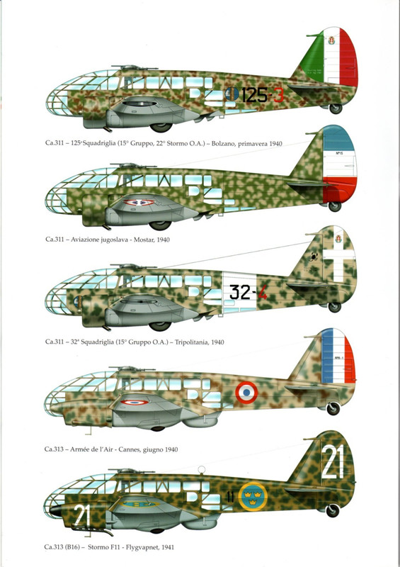 Ali d'Italia 024 - Caproni Ca.311-314_Страница_0