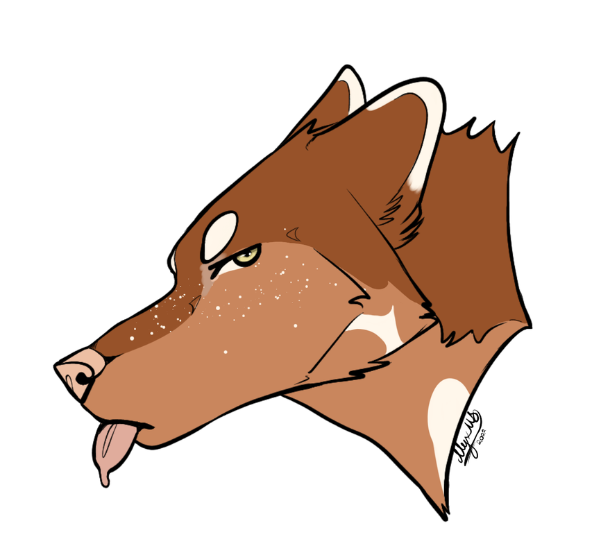 Untitled56-20220217185022.png