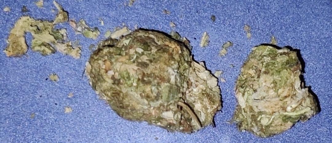Бошки Критикал