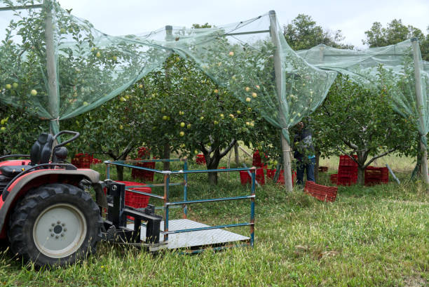 Agricultural Netting