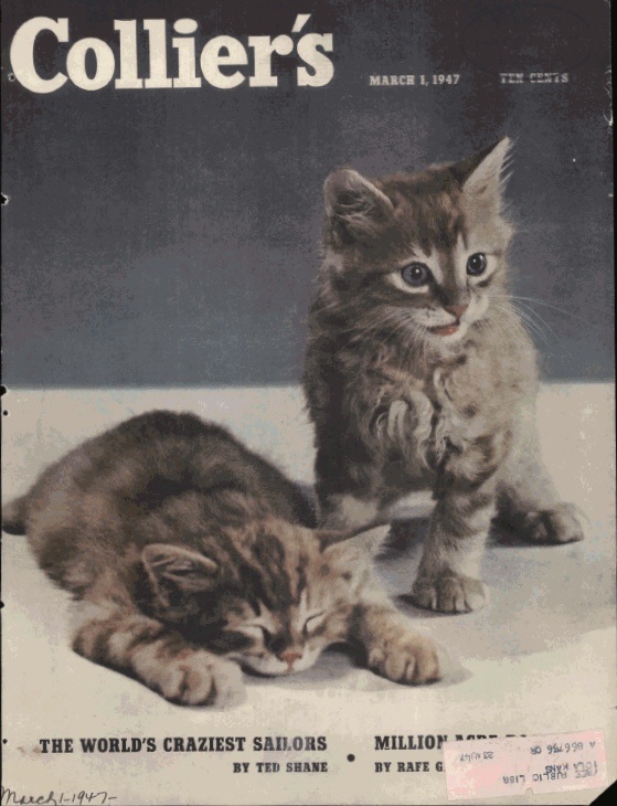 16-Collier-s-magazine-March-1-1947-Cover-by-Shiney-Wright