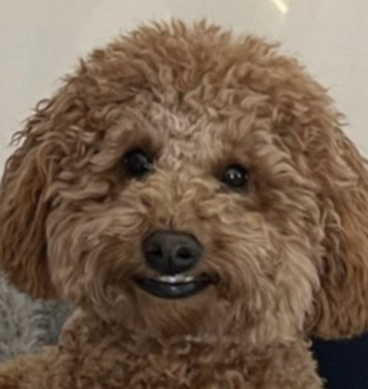 C50C6AAB-D2ED-4FE5-9BAC-6CCDB040CD46