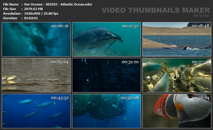 Our Oceans - S01E03 - Atlantic Ocean.mkv