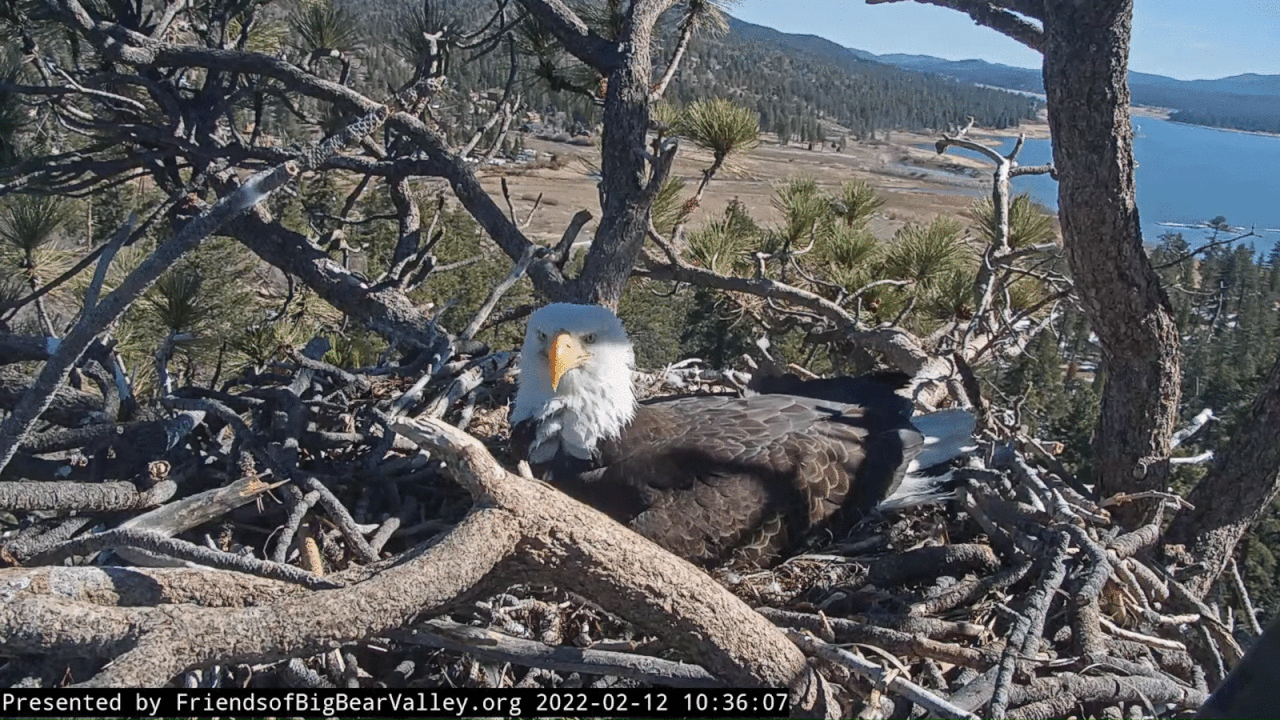 Webp.net-gifmaker (2)