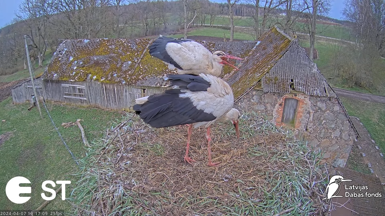 Ekrānuzņēmums 2024-04-07 194938