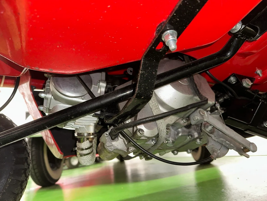 Peel-P50-2021-(4).png