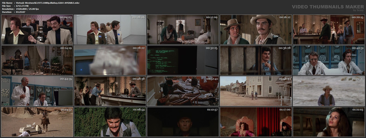 Vietsub-Westworld-1973-1080p-Blu-Ray-X264-AMIABLE-mkv.jpg