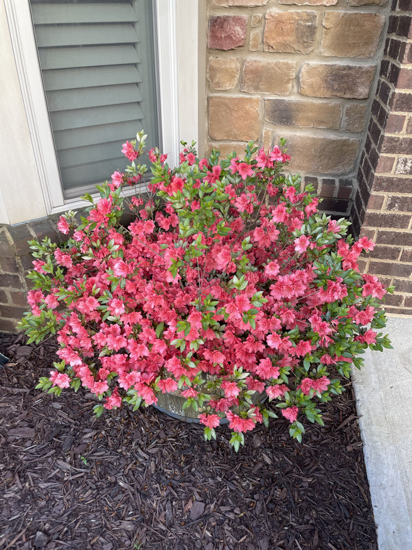 479014F1-7383-4420-BAC3-9A5238843964