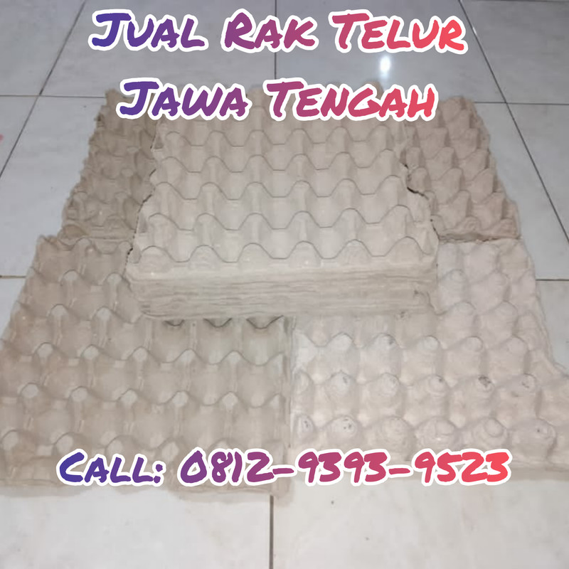 TERDEKAT, CALL: 0812-9393-9523, Distributor Rak Telur Kertas Intan Jaya