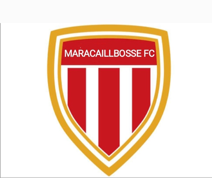 Ceci est un logo