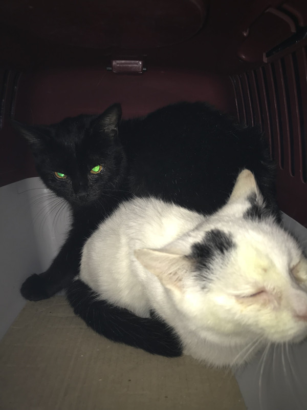 09D3EA32-8561-41A5-82A4-6ACFC2B7F71C