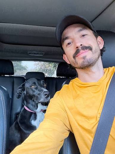 Pet owner with their pet during a grooming or at-home care moment