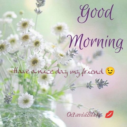 photostudio-1776032386797