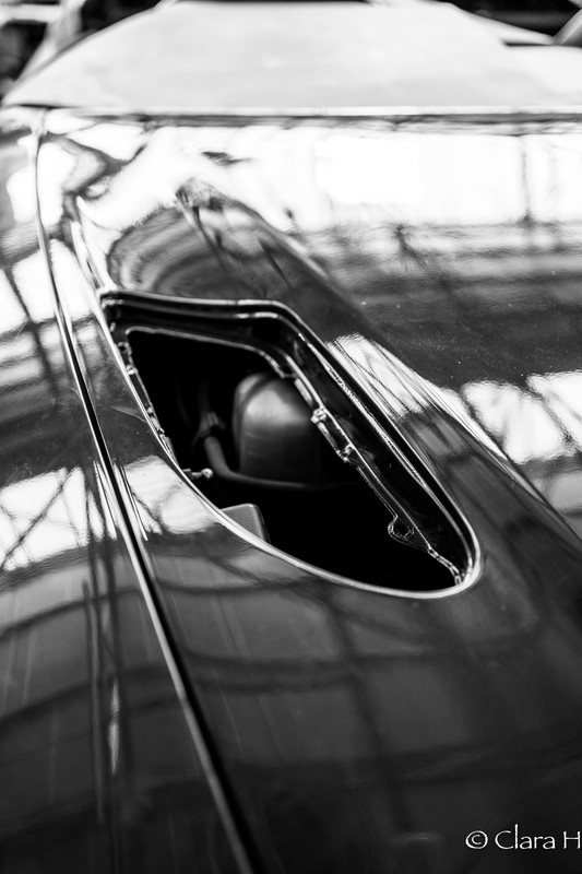 F.MISTRAL N&B 220321 (34 sur 87)