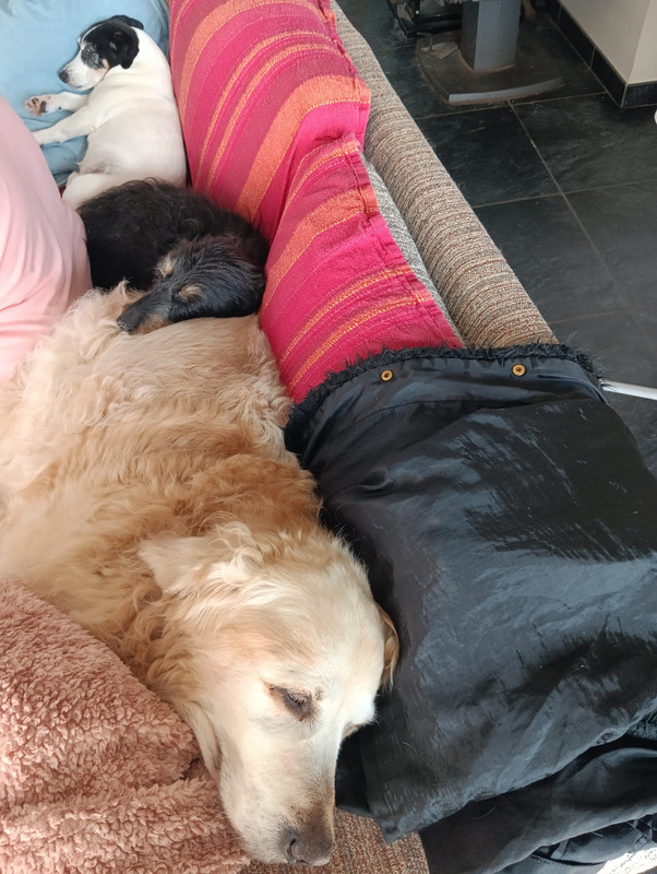 [Image: IMG-20240719-WA0001.jpg]