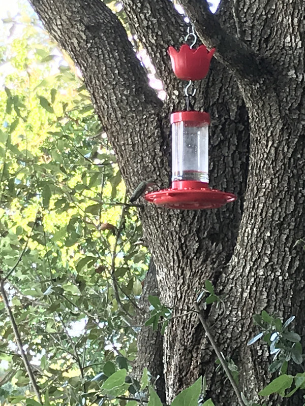 E3B16712-A949-4E52-AB52-7D17970B87DA