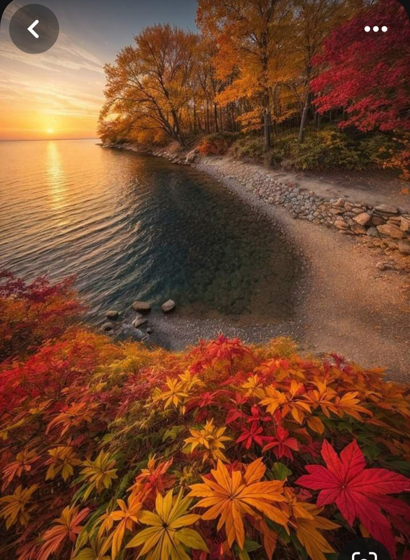 Screenshot_20240218_210540_Pinterest