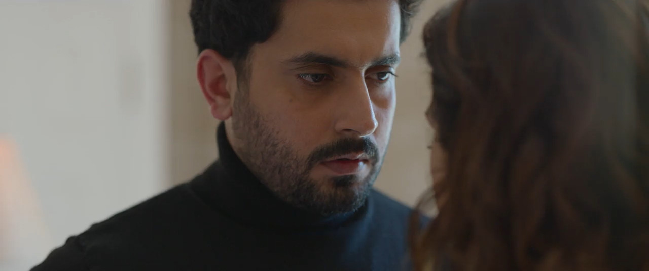 Single Salma 2025 WebRip [Hindi] 480p 720p ESub Screenshot