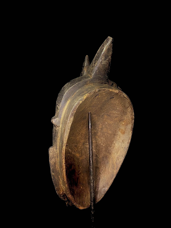 large image 10