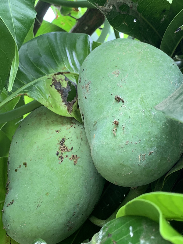 4568928D-DC79-4813-BA5F-C975F3BE1A41