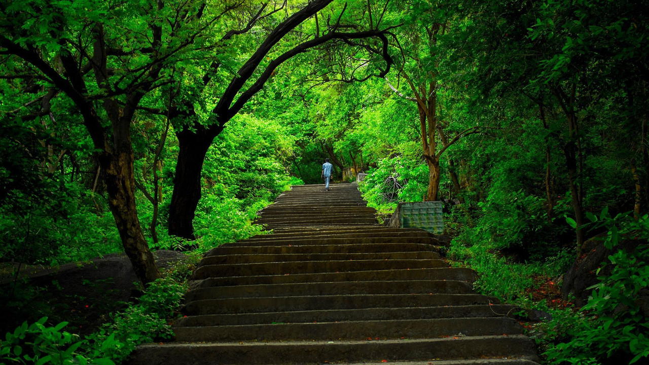 Yelagiri Slopes - 160 km from Bangalore