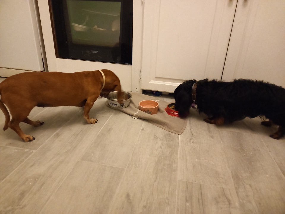 [Image: Resized-21-2.jpg]