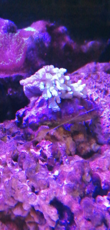 7843E4DA-7952-4894-B115-658861FAAD6F