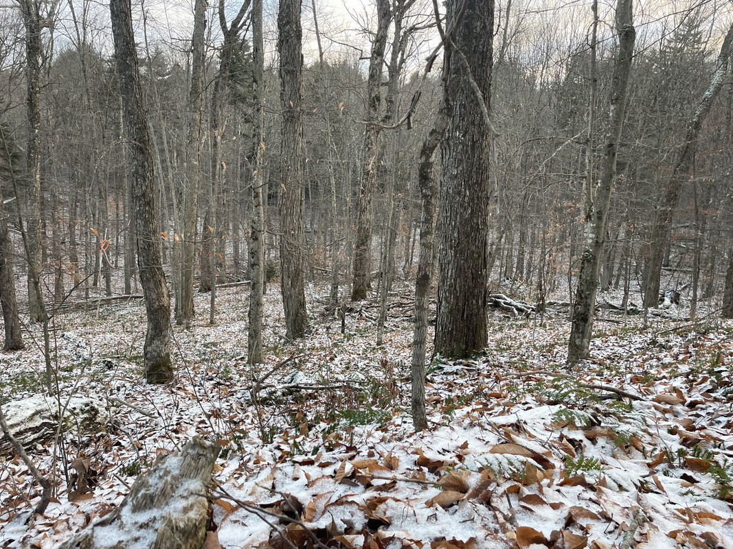 166AEC9C-63C9-4F38-AC0B-56E0F87B4799