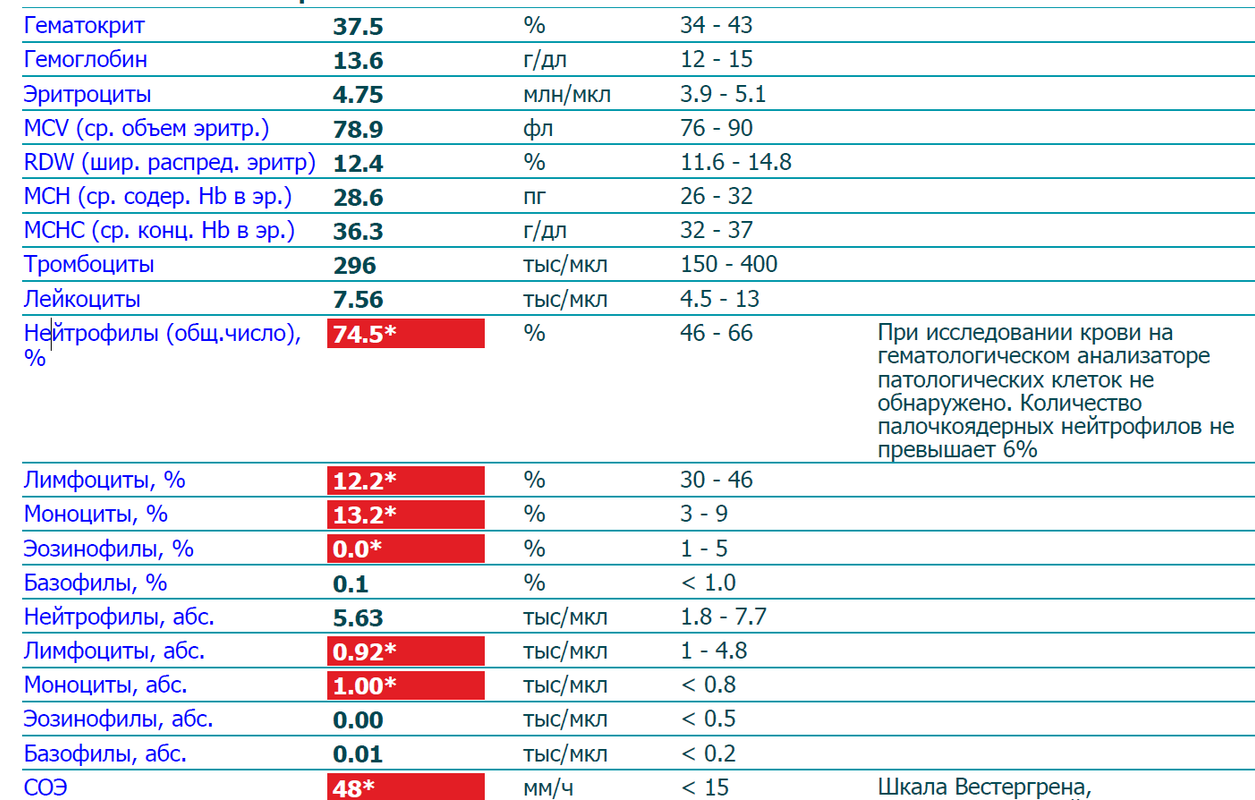 изображение_2023-02-01_180823331