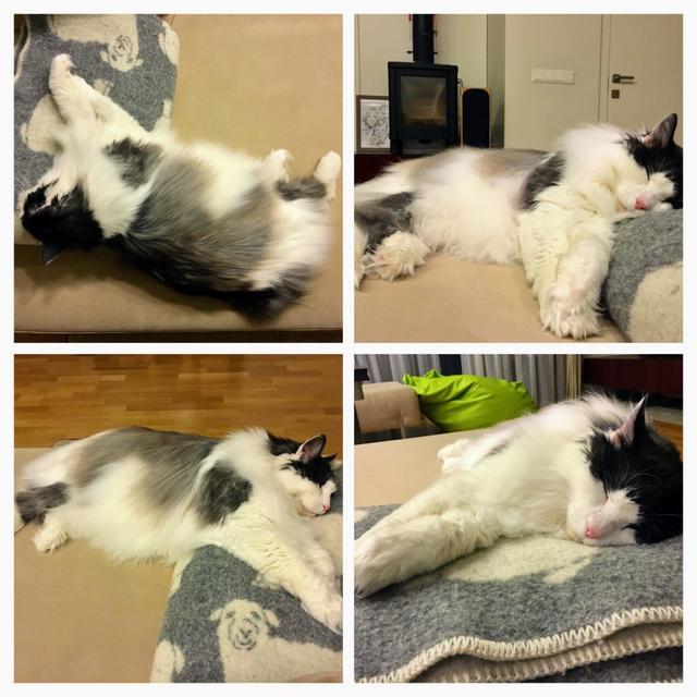 F0970506-28-BA-4550-B638-D68-FAB9247-A0.