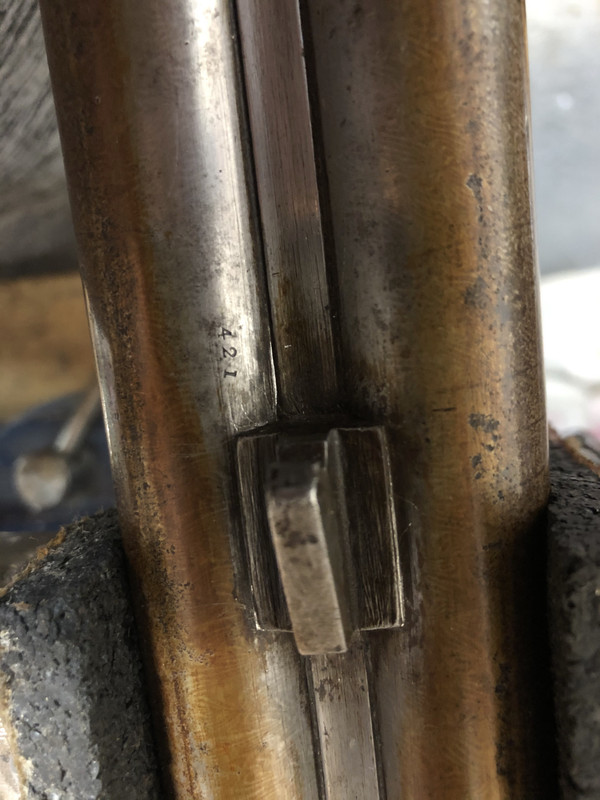 IMG_4772