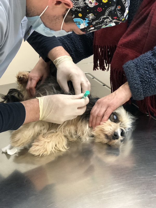 15C9A399-59B4-438B-822C-2543EB840355