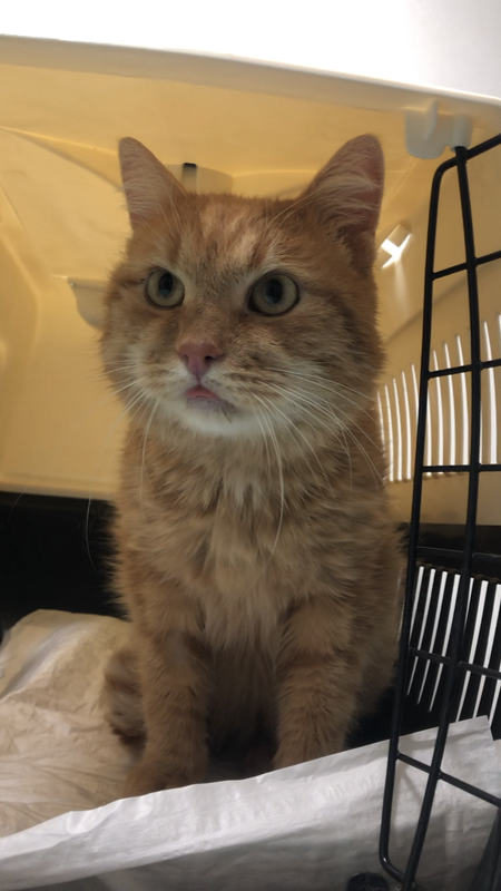 E69B366E-9F4E-4A42-A15D-A8B675A32313