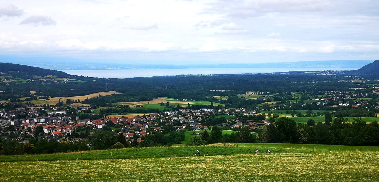 IMG_20240707_145550_edit_779761309297162