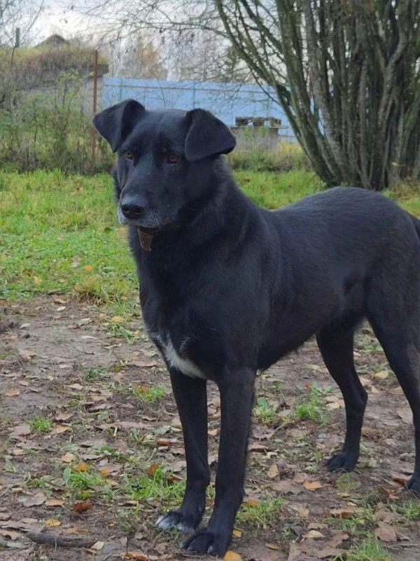 FIMFR Zc Hou Ks LYqb VHw Qp RDq J5b Dh Hq CIWLSf QZOa Odz Xd UG41tywe0YXgjbklz YHYP2GGOw DXrou Xb Td